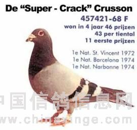 ÿ��һ�룺�����������ֹ�