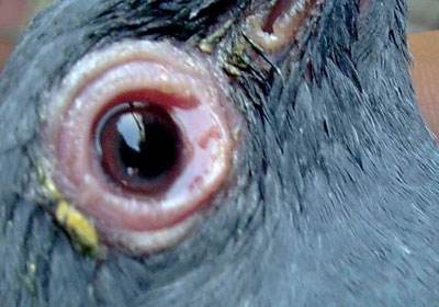 Ӧ�Ե����˷�ĵ�����