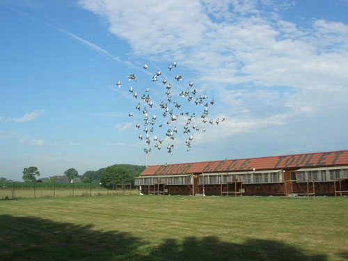 ����ʱ��Ӣ������Ĺأ��й�������Χǰʮ��