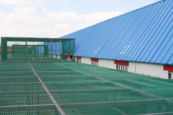 ר�����Ժ����й����ﵽ�˹յ�ʱ�ڣ�