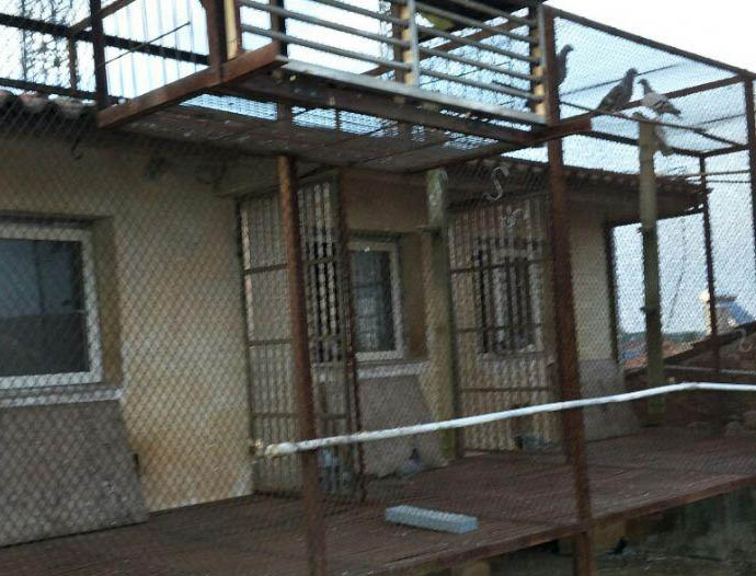 �������ģ������и�������