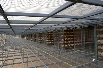 ���� ���ø��Ѻ�����