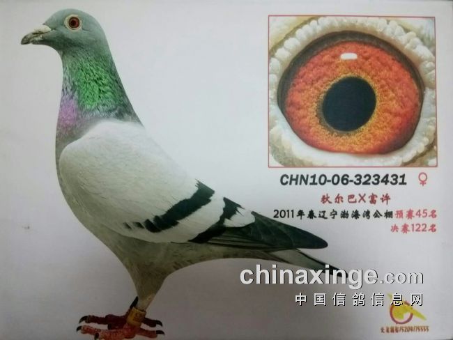 ÿ��һ�룺��ĸ431��