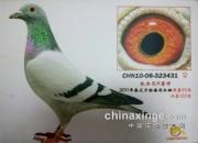 ÿ��һ�룺��ĸ431��