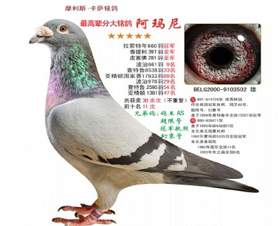 ÿ��һ�룺�������롪��������