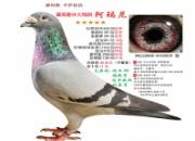 ÿ��һ�룺�������롪��������