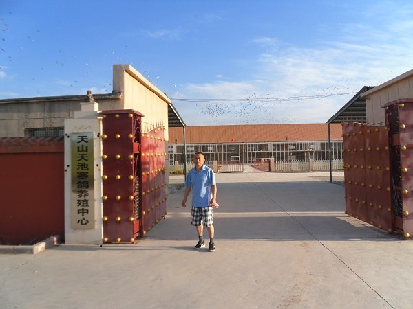 ���½���˳��ҵ ���͸Ǳȸ���