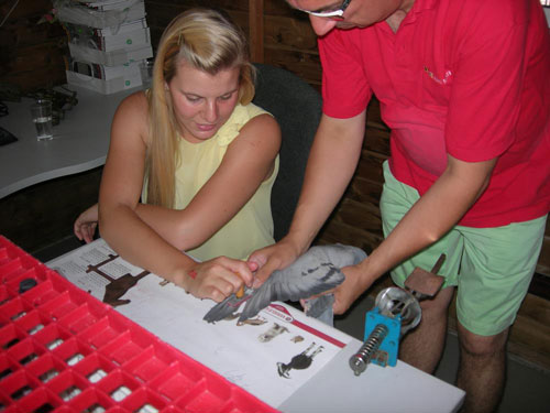 �ֳ����ң�����ʱ��Ӣ�����������2�� �й�ն���Ǿ�