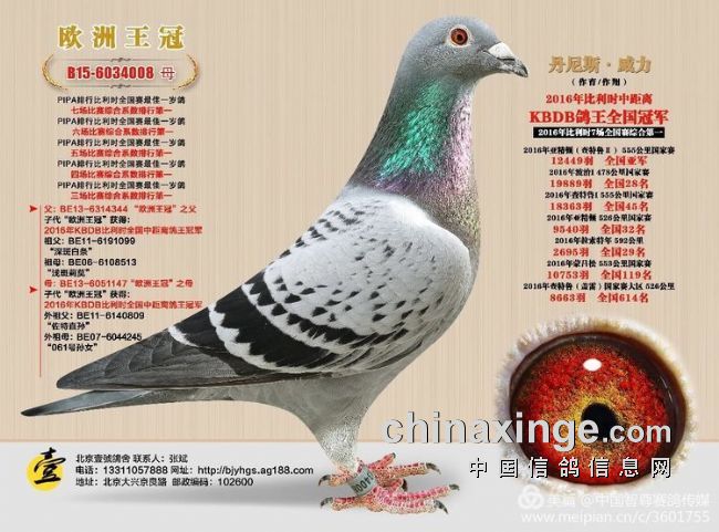 ÿ��һ�룺��������ŷ������