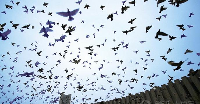 ����˽������ֻ�������������