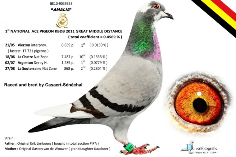 ÿ��һ�룺�����ھ��������