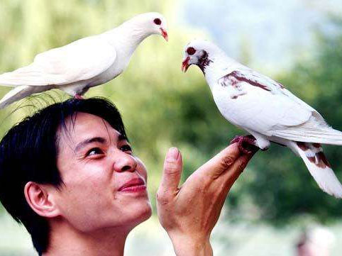 �˸���Ե�����԰���һ����