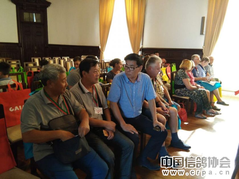 ���ʸ�����������ս����������� �й�����鳲����