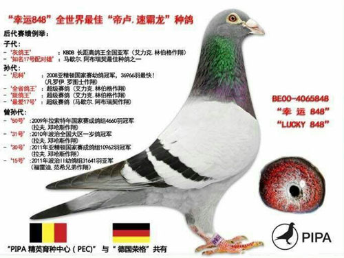 ÿ��һ�룺��۴����롰����848��