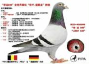 ÿ��һ�룺��۴����롰����848��