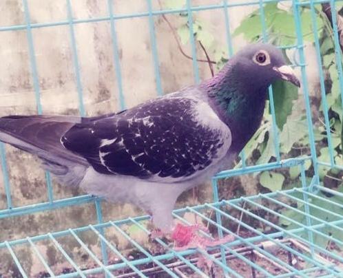 ѵ�ű����˸��� �ƻ��ϲ��ϱ仯