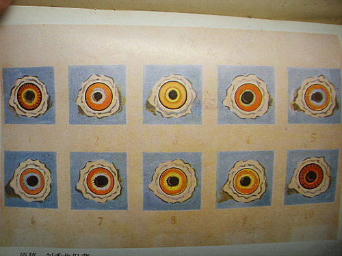 ��÷��50��ǰ����־�о�ͼ