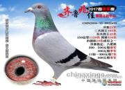 �Լ��ò���� ֧Ԯ�ý������