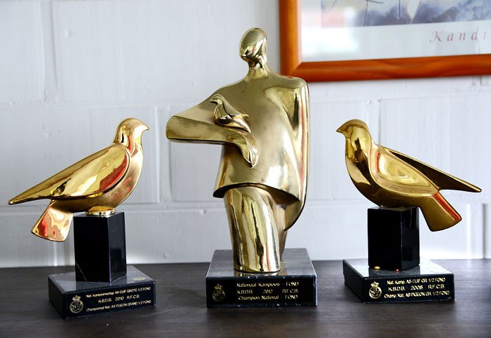 ����ʱKBDB��������ھ���¯ ���������ϰ�