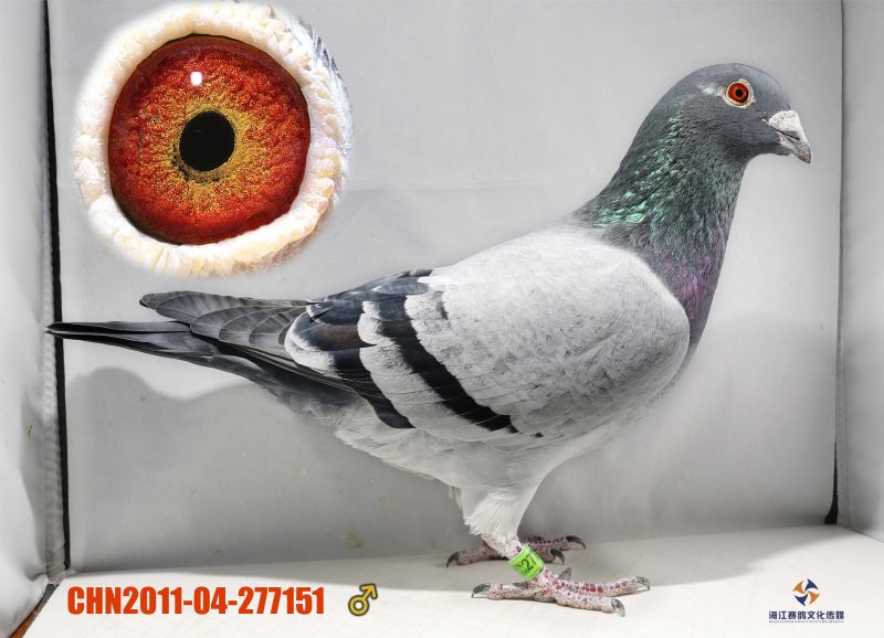 ÿ��һ�룺ɽ������������ۡ�·����