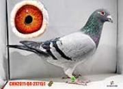 ÿ��һ�룺ɽ������������ۡ�·����