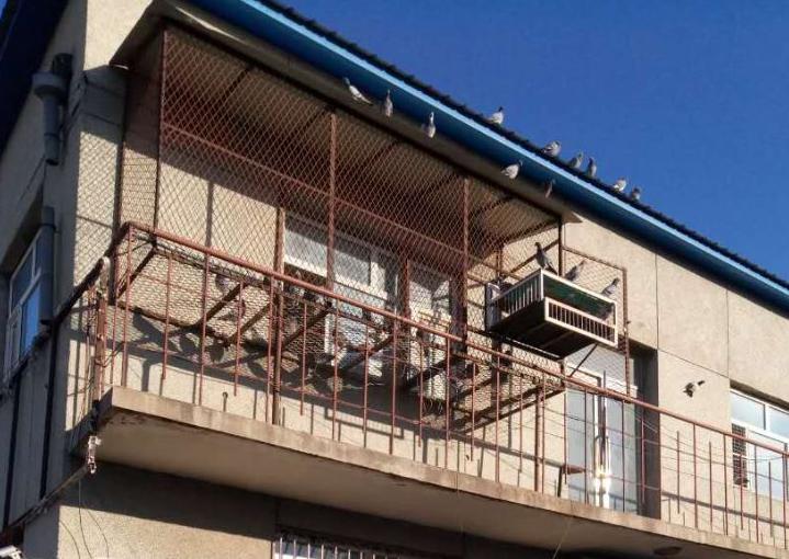 ���ߵĸ�����¬