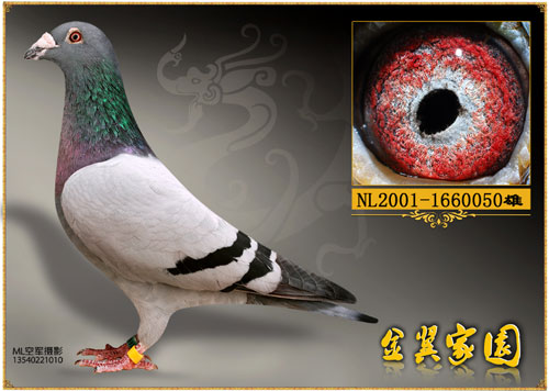 ÿ��һ�룺��ʯ�������ۡ�����֮�ۡ�