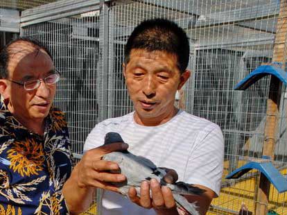 ������ǿ�������ǡ������Žܣ�ͼ��