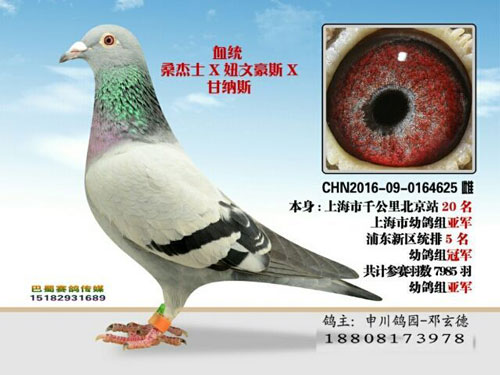 ÿ��һ�룺ȫ���������׸��Ǿ�����