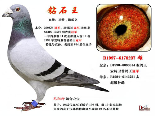 ÿ��һ�룺����������֮�� ���������Ż�Ѽ�