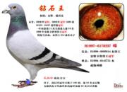 ÿ��һ�룺����������֮�� ���������Ż�Ѽ�