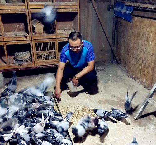 ������úü��� ϸ�������ͷ��