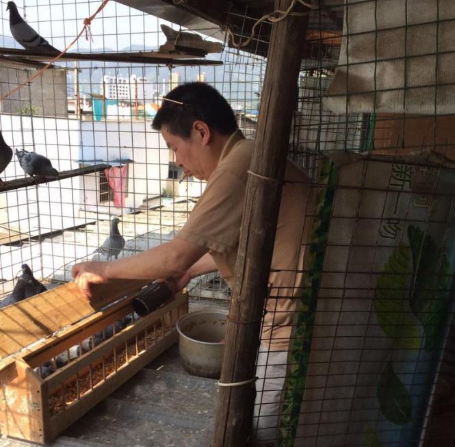 �ҵ����븸�ף��ø���۸��޹� ��������������