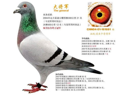 ÿ��һ�룺˭�Һᵶ���� Ψ�ҡ��󽫾���