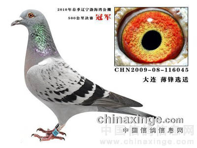 ÿ��һ�룺����ϣ�ھ��š���