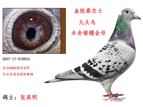 �人�Ÿ��������������ĸ����ͷ��