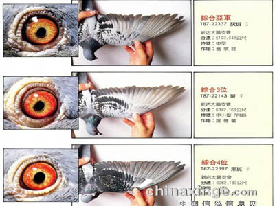 ���ͣ�̨��ھ����ۺͳ��