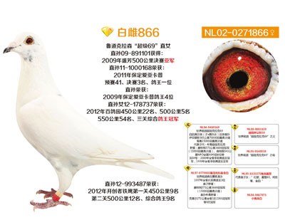 ÿ��һ�룺���Ǹ�ҵ�ִơ��״�866��