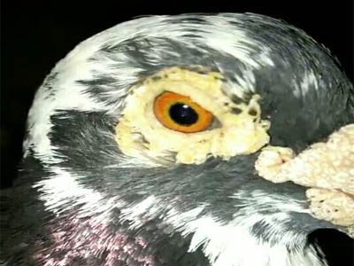 ���ҿ�������Щ������ô��