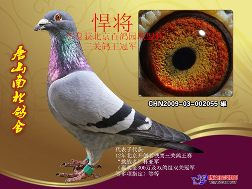 ÿ��һ�룺��ɽ�ϱ�����֮��������