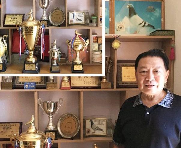 �����Ⱥ���д���֮ʮ����ͥ�������人ף����