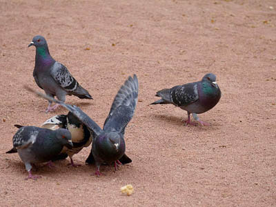 ��ɫԽ���� ����ˮƽԽ��