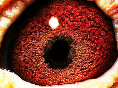 ��ӭ���ͣ���Щ�ָ�����ô��