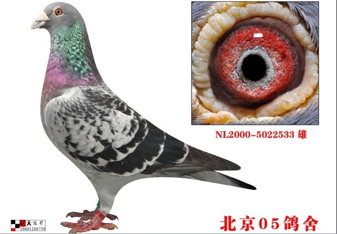 ÿ��һ�룺����05����ͷ������