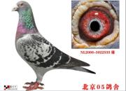 ÿ��һ�룺����05����ͷ������