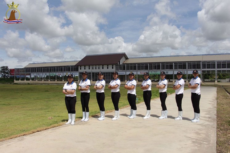 ̩�������Ź��ʴ���ս����ȼ 17����ǿ���Ҷ���