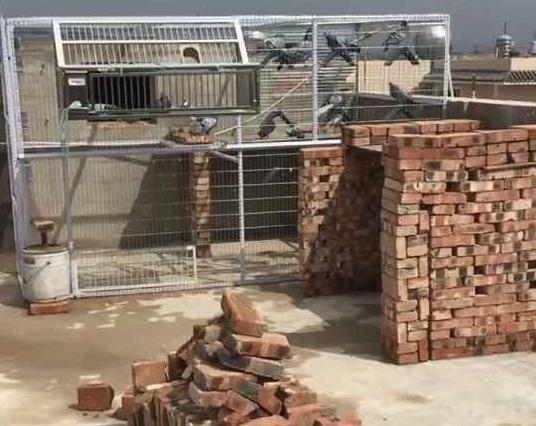 ��Ľ���ʺޣ����㳡��������