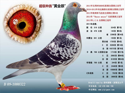 ÿ��һ�룺������������ƽ��ۡ�