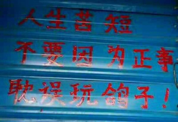 �����Ŵ����ѻ� ����֮��٩����