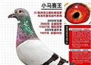 ÿ��һ�룺����֮��С��������